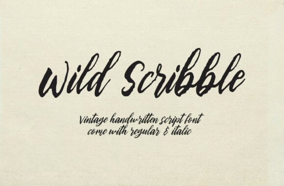 Wild Scribbble: A Vintage Script Font for Bold Campaigns