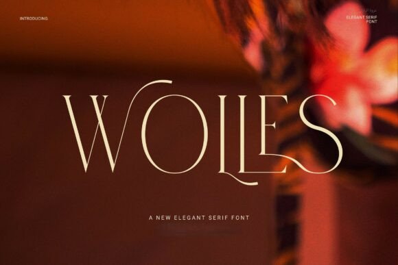 Wolles Elegant Modern Serif Typeface